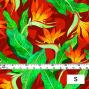 Hula Fabric / Strelitzia / JKH-550-RD