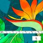 Hula Fabric / Strelitzia / JKH-550-TBL