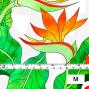 Hula Fabric / Strelitzia / JKH-550-WH