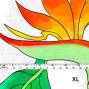 Hula Fabric / Strelitzia / JKH-550-WH