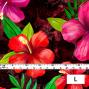 Hula Fabric / Hibiscus / JKH-554-RD