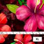 Hula Fabric / Hibiscus / JKH-554-RD