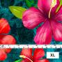 Hula Fabric / Hibiscus / JKH-554-TBL
