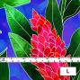 Hula Fabric / Red Ginger / JKH-562-BL