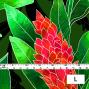 Hula Fabric / Red Ginger / JKH-562-GR