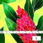 Hula Fabric / Red Ginger / JKH-562-GRYE