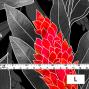 Hula Fabric / Red Ginger / JKH-562-GY