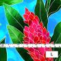 Hula Fabric / Red Ginger / JKH-562-LBL