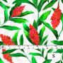 Hula Fabric / Red Ginger / JKH-562-WH