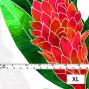 Hula Fabric / Red Ginger / JKH-562-WH
