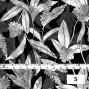 Hula Fabric / Ginger / JKH-564-BK