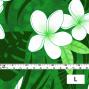 Hula Fabric / Plumeria / JKH-568-GR