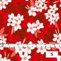 Hula Fabric / Plumeria / JKH-568-RD