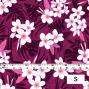 Hula Fabric / Plumeria / JKH-568-RDPU