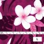 Hula Fabric / Plumeria / JKH-568-RDPU