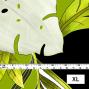 Hula Fabric / Modern Leaf / JKH-572-YEGR