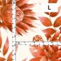Hula Fabric / Protea / JKH-584-WHOR