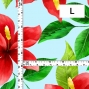 Hula Fabric / Hibiscus / JKH-586-LBL