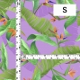 Hula Fabric / Strelitzia / JKH-596-PU