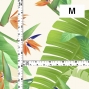 Hula Fabric / Strelitzia / JKH-596-WH