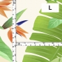 Hula Fabric / Strelitzia / JKH-596-WH