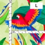 Hula Fabric / Tropical Bird / JKH-632-GR