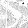 Hula Fabric / Banana Leaf / JKH-640-GY