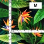 Hula Fabric / Strelitzia / JKH-650-BK