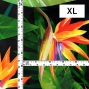 Hula Fabric / Strelitzia / JKH-650-BK