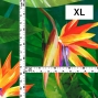Hula Fabric / Strelitzia / JKH-650-GR