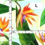 Hula Fabric / Strelitzia / JKH-650-WH