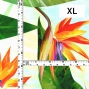 Hula Fabric / Strelitzia / JKH-650-WH