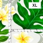 Hula Fabric / Breadfruit / JKH-656-WH