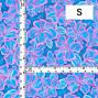 Hula Fabric / Hibiscus / JKH-662-BLPI