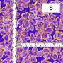 Hula Fabric / Hibiscus / JKH-662-PUYE