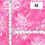 Hula Fabric / Watercolor Orchid / JKH-664-PI