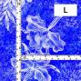 Hula Fabric / Watercolor Orchid / JKH-664-RBL
