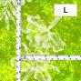 Hula Fabric / Watercolor Orchid / JKH-664-YEGR