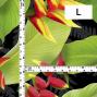 Hula Fabric / Heliconia / JKH-666-BK