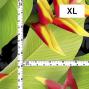 Hula Fabric / Heliconia / JKH-666-BK