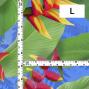 Hula Fabric / Heliconia / JKH-666-BL