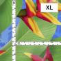 Hula Fabric / Heliconia / JKH-666-BL