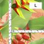 Hula Fabric / Heliconia / JKH-666-OR