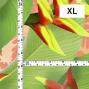 Hula Fabric / Heliconia / JKH-666-OR