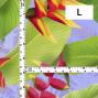Hula Fabric / Heliconia / JKH-666-PU