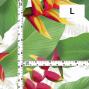 Hula Fabric / Heliconia / JKH-666-WH