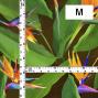 Hula Fabric / Bird of Paradise / JKH-668-BR