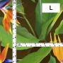 Hula Fabric / Bird of Paradise / JKH-668-BR