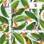 Hula Fabric / Bird of Paradise / JKH-668-WH