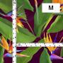 Hula Fabric / Bird of Paradise / JKH-668-WI